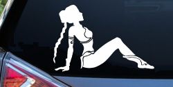 Princess Leia Car or Truck Window Decal Sticker