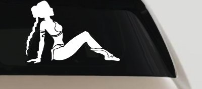 Princess Leia Car or Truck Window Vinyl Decal Sticker