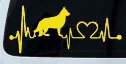 Decal Preview