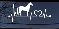 Horse Heart Heartbeat Lifeline Love Car or Truck Window Decal Sticker