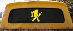 Decal Preview
