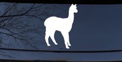 Alpaca Car or Truck Window Decal Sticker