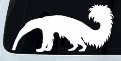 Anteater Ant Eater Car or Truck Window Decal Sticker