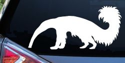 Anteater Ant Eater Car or Truck Window Decal Sticker