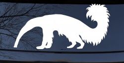Anteater Ant Eater Car or Truck Window Decal Sticker