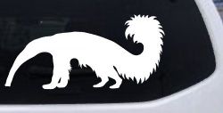 Anteater Ant Eater Car or Truck Window Decal Sticker