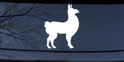Llama Car or Truck Window Decal Sticker