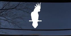 Cockatoo Bird Car or Truck Window Decal Sticker