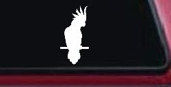 Cockatoo Bird Car or Truck Window Decal Sticker