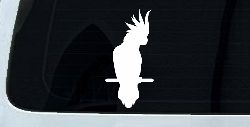 Cockatoo Bird Car or Truck Window Decal Sticker