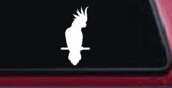 Cockatoo Bird Car or Truck Window Decal Sticker