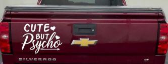 Cute But Psycho Hearts and Arrow Funny Car or Truck Window Decal Sticker (White)