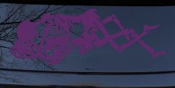 Skeleton Love Skulls Car or Truck Window Decal Sticker (Violet)