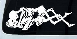 Skeleton Love Skulls Car or Truck Window Decal Sticker