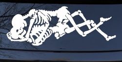 Skeleton Love Skulls Car or Truck Window Decal Sticker