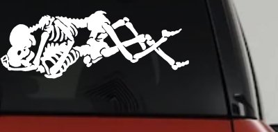 Skeleton Love Skulls Car or Truck Window Vinyl Decal Sticker