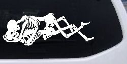 Skeleton Love Skulls Car or Truck Window Decal Sticker