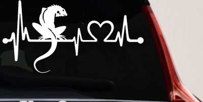 Iguana Lizard Heartbeat Car or Truck Window Vinyl Decal Sticker