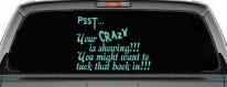 Your Crazy is Showing Funny Car or Truck Window Decal Sticker (Mint)