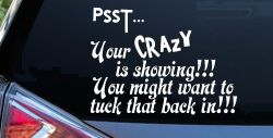 Your Crazy is Showing Funny Car or Truck Window Decal Sticker