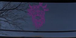 Cute Long Hair Cow with Flowers Car or Truck Window Vinyl Decal Sticker (Violet)