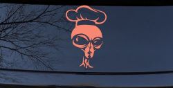 Alien Chef Sci Fi Car or Truck Window Vinyl Decal Sticker (Coral)
