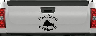 I'm Sexy and I Mow It Zero Turn Landscaping Funny Car or Truck Window Vinyl Decal Sticker (Matte Black)