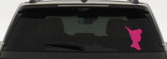 Peter Pan Cartoons Car or Truck Window Decal Sticker (Hot Pink)
