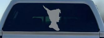 Peter Pan Cartoons Car or Truck Window Decal Sticker (Telegrey)
