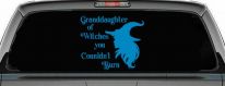Granddaughter of Witches You Couldnt Burn Gothic Halloween Car or Truck Window Vinyl Decal Sticker (Blue)