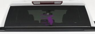 Granddaughter of Witches You Couldnt Burn Gothic Halloween Car or Truck Window Decal Sticker (Violet)