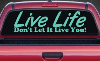 Live Life Don't Let It Live You Inspirational Car or Truck Window Vinyl Decal Sticker (Mint)