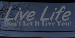 Live Life Don't Let It Live You Inspirational Car or Truck Window Vinyl Decal Sticker (Silver)