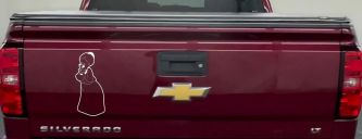 Tweety Birds Granny Cartoons Car or Truck Window Vinyl Decal Sticker (White)