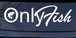 Only Fish Funny Fishing Car or Truck Window Decal Sticker