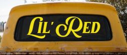 Lil Red Car or Truck Window Vinyl Decal Sticker (Yellow)