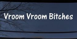 Vroom Vroom Bitches Funny Car or Truck Window Decal Sticker