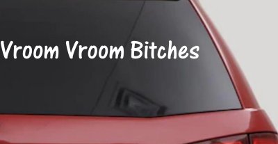 Vroom Vroom Bitches Funny Car or Truck Window Vinyl Decal Sticker