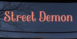Street Demon Car or Truck Window Vinyl Decal Sticker (Coral)
