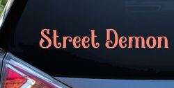 Street Demon Car or Truck Window Decal Sticker (Coral)
