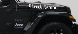 Street Demon Car or Truck Window Vinyl Decal Sticker (White)