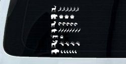 Hunting Big Game Keeping Count Car or Truck Window Decal Sticker