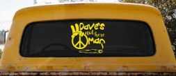 Dave's Not Here Man Vinyl Car or Truck Window Decal Sticker (Yellow)