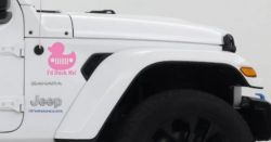 I'd Duck Me Car or Truck Window Vinyl Decal Sticker (Pink)