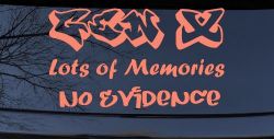 Gen X Lots of Memories No Evidence Car or Truck Window Vinyl Decal Sticker (Coral)