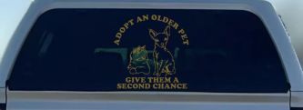 Adopt Older Pets Give Them a Second Chance Car or Truck Vinyl Window Decal Sticker (Gold)