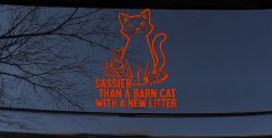 Sassier Than A Barn Cat With A New Litter Car or Truck Vinyl Window Decal Sticker (Orange Red)