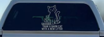 Sassier Than A Barn Cat With A New Litter Car or Truck Vinyl Window Decal Sticker (Telegrey)