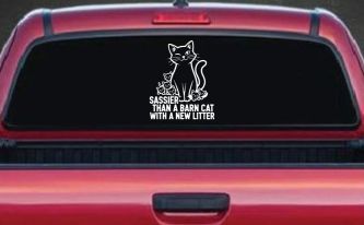 Sassier Than A Barn Cat With A New Litter Car or Truck Vinyl Window Decal Sticker