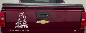 Sassier Than A Barn Cat With A New Litter Car or Truck Vinyl Window Decal Sticker